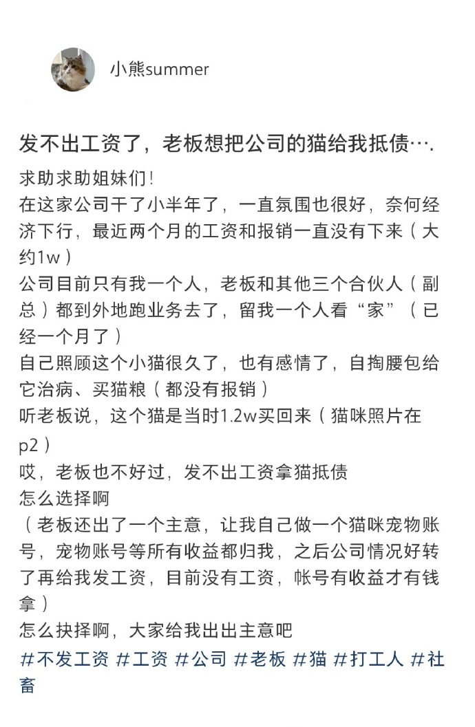 发不出工资老板想把公司的猫给我​​​