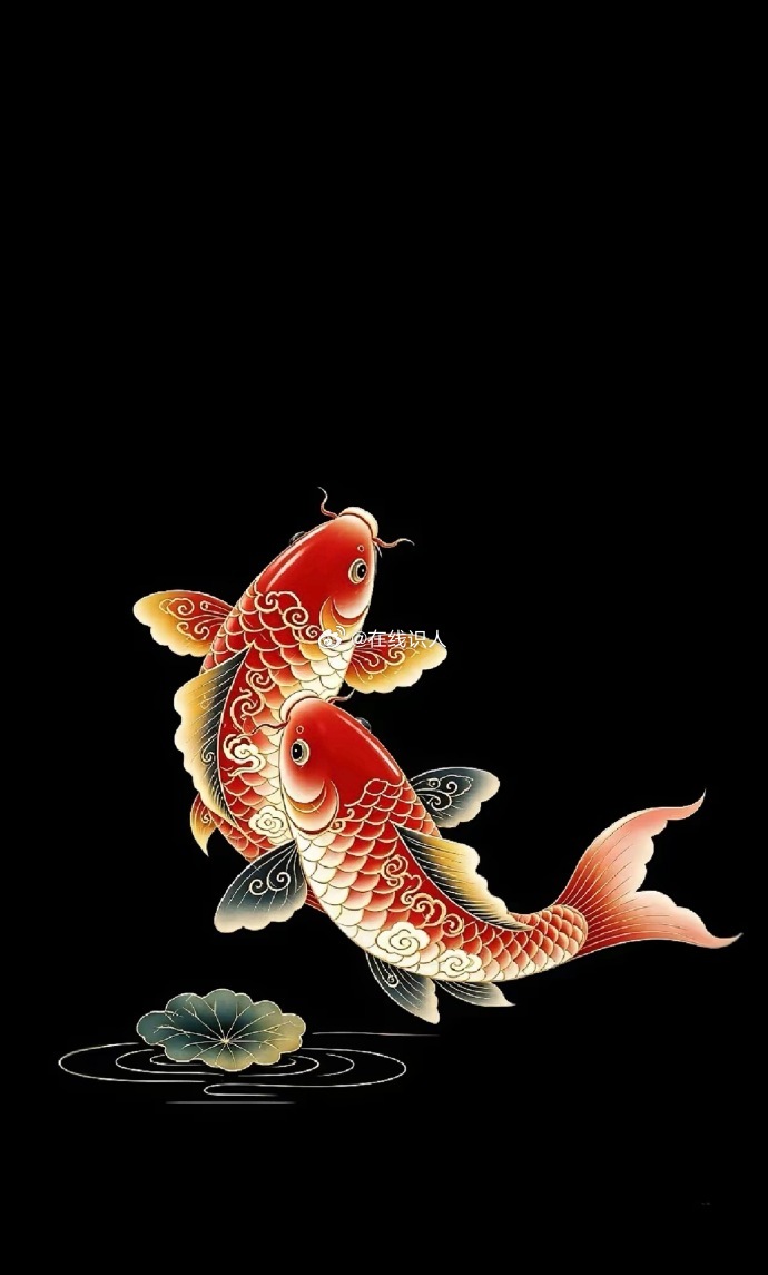 别划走，这一对锦鲤，专挑有心的人送好运。​​​