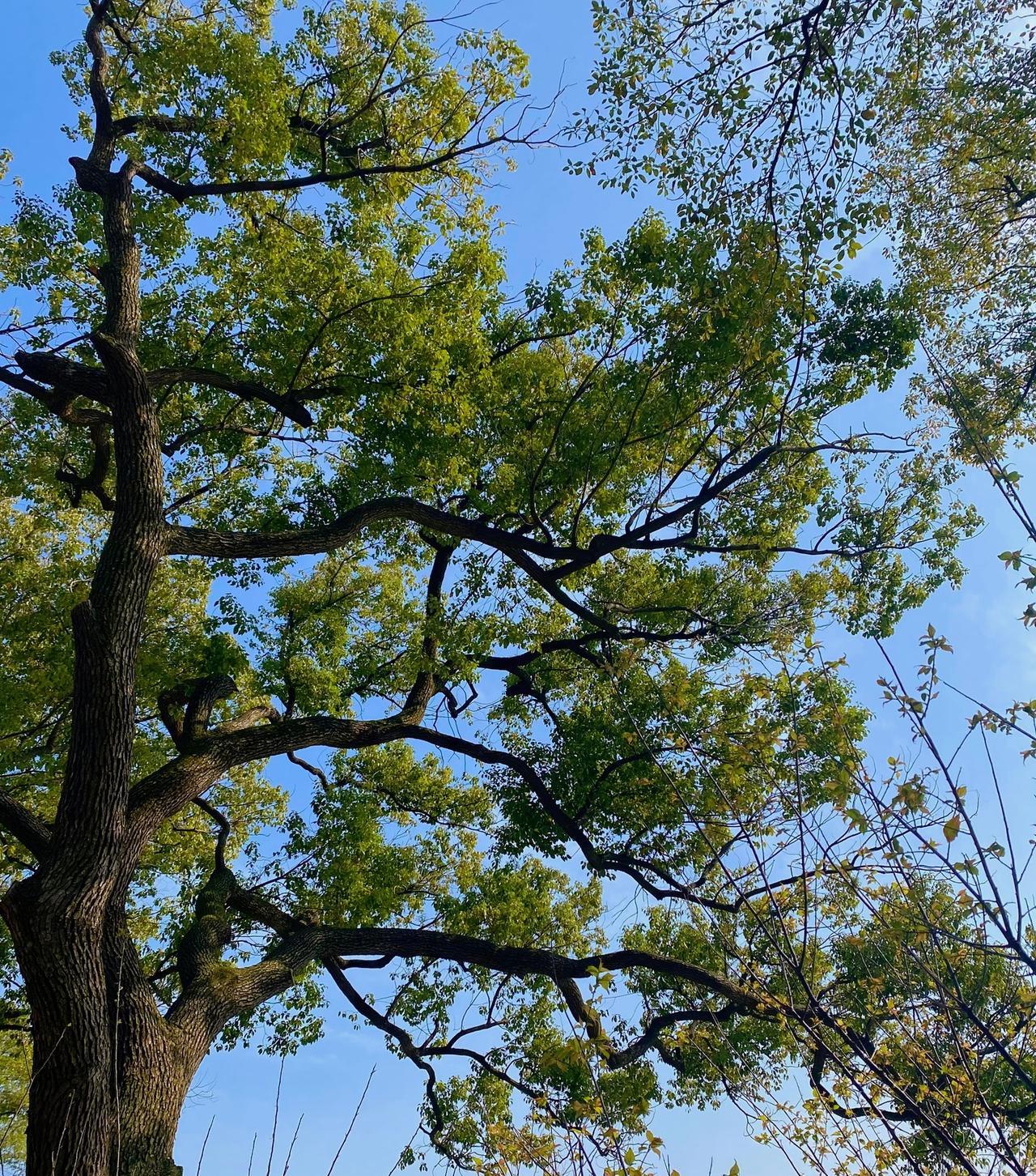 人到中年：千万别让任何人零成本接近你。一个“随时可接近的人”，也注定是一个“随便