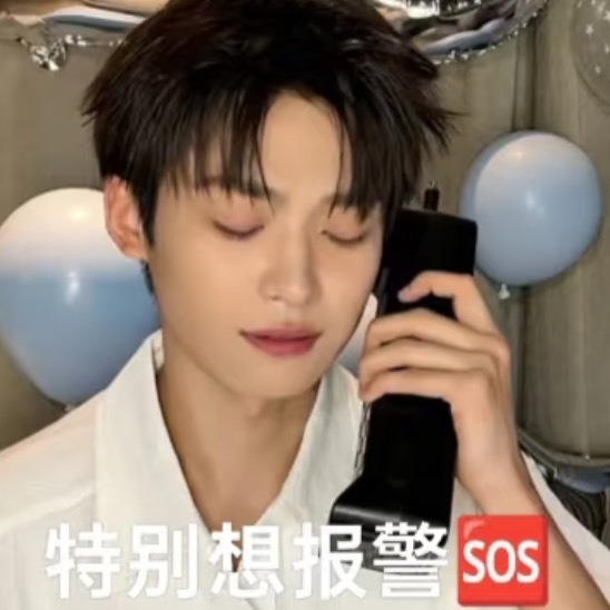 还好瑞鹤旁边就是警局