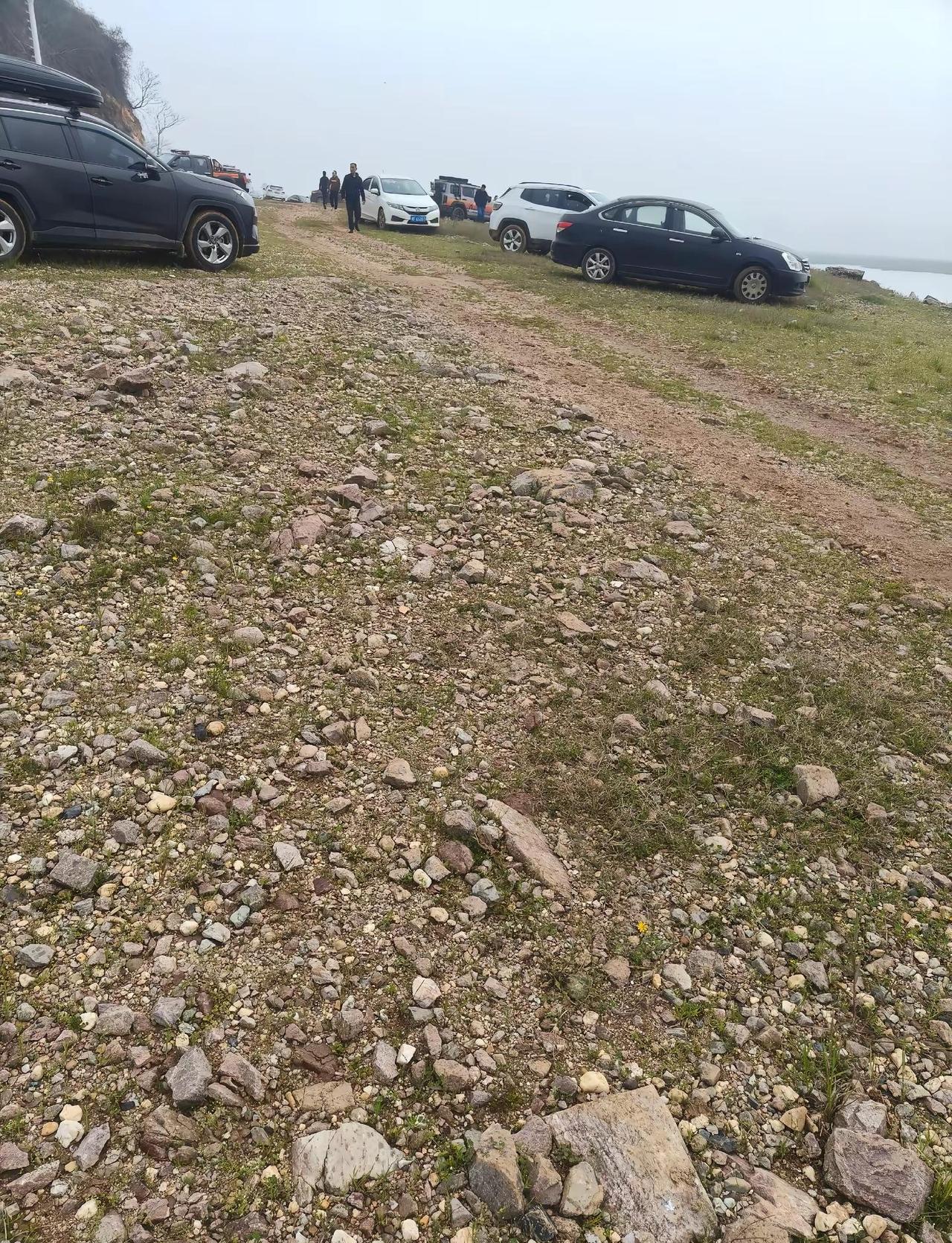 岳阳岳阳县一名55岁女子，在洞庭湖太平咀附近采摘藜蒿已失联超四天。目前消防、公安