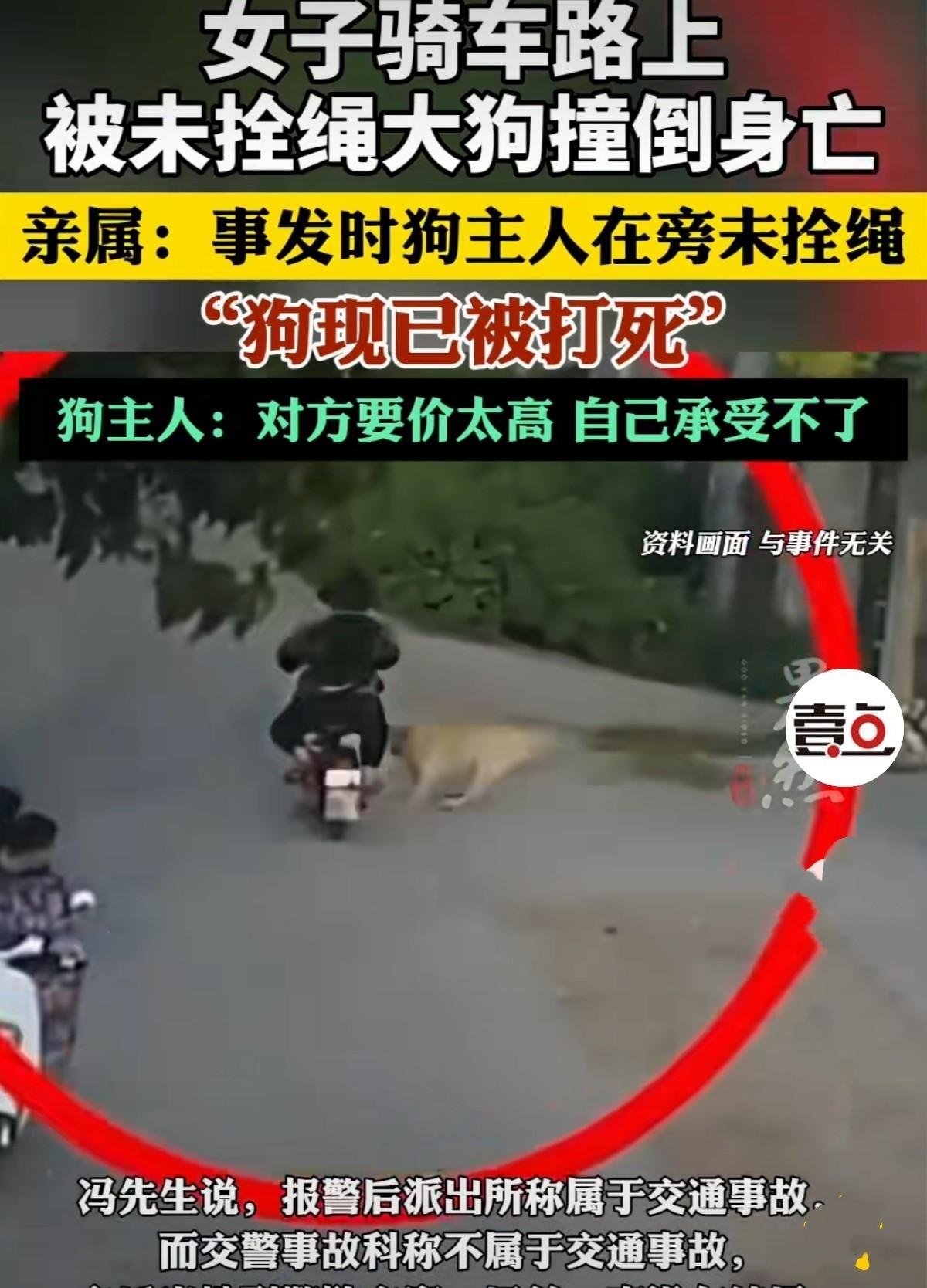 令人痛心！河北邯郸，女子骑电瓶车上班途中，遇到一大型犬，大型犬向车子奔来，女子躲