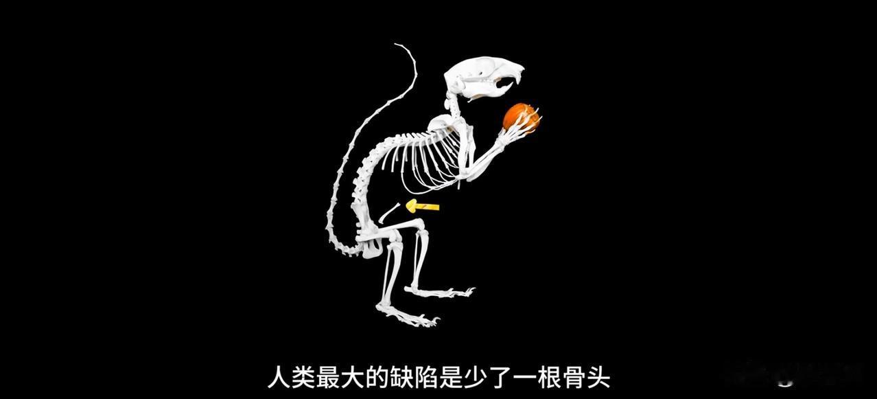 今天刷到个冷知识，直接给我整懵了！现在的人比3万年前的先祖竟然少了一块“关键