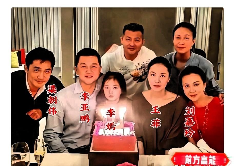 李亚鹏抱着李嫣，眼里烧着的光，后来再没见过。那时的王菲还没走，眼神还跟随着他。