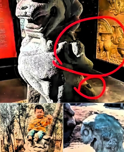 人证物证都有，这回百口莫辩了吧！安徽一男子到徐州某私人博物馆参观发现一对