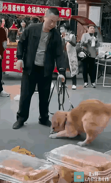 狗咬狗一嘴毛！但大爷这么个操作还让人不理解，大狗欺负小狗，狗主不仅不拉开来，还任
