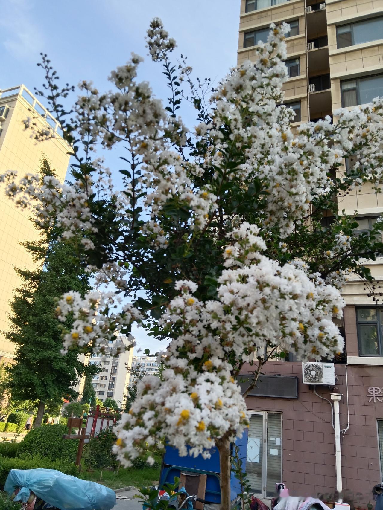 十八个好习惯，让你身体舒服，少生病。1、保持心态平和，少生气、少内耗，心宽