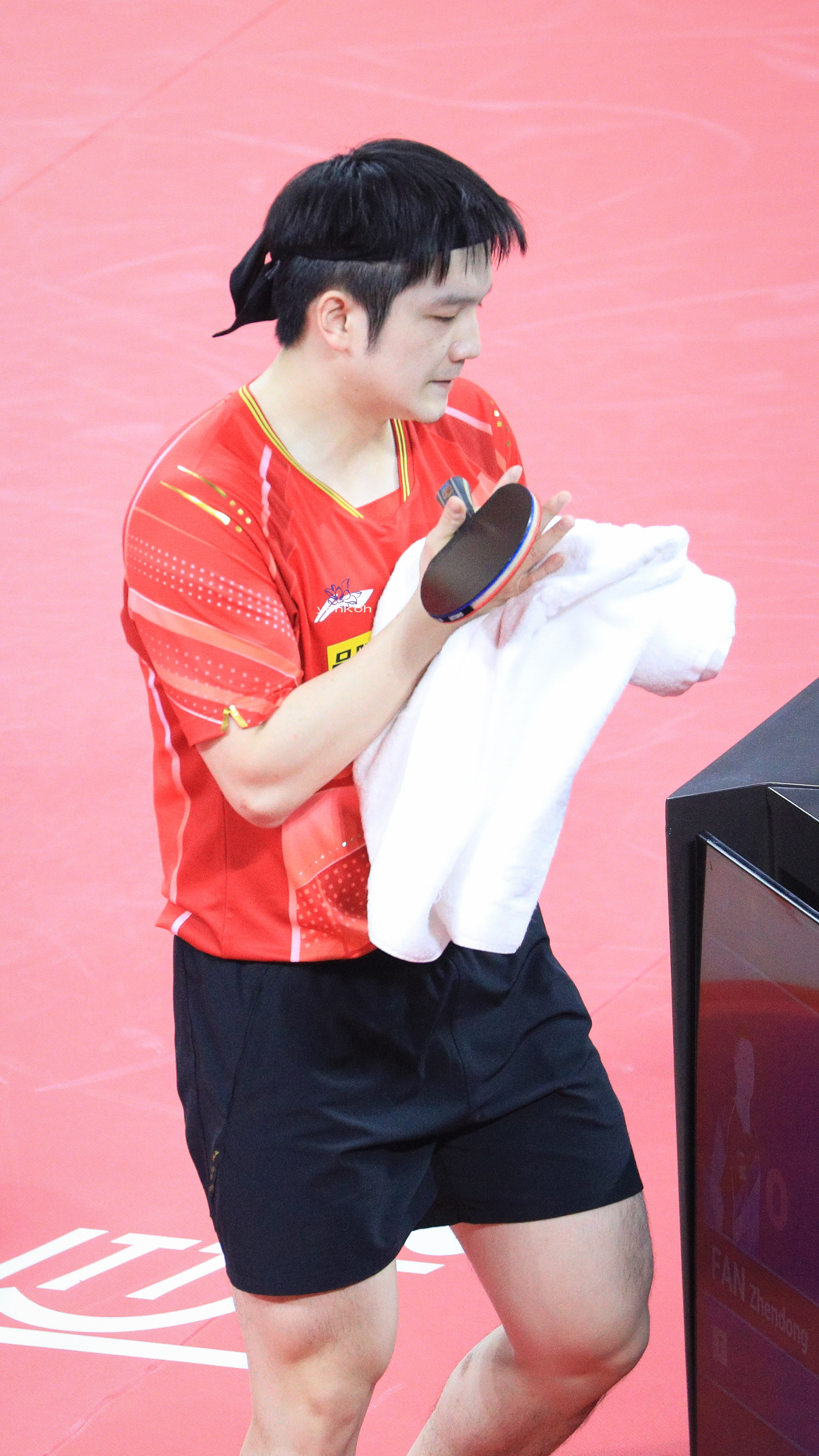 樊振东你拥有每一种自由