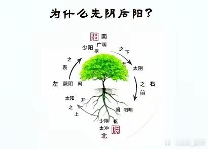 人体之气：如何从正气化为邪气？自学中医的目的：自救、利他正气存内，邪不可干。关于