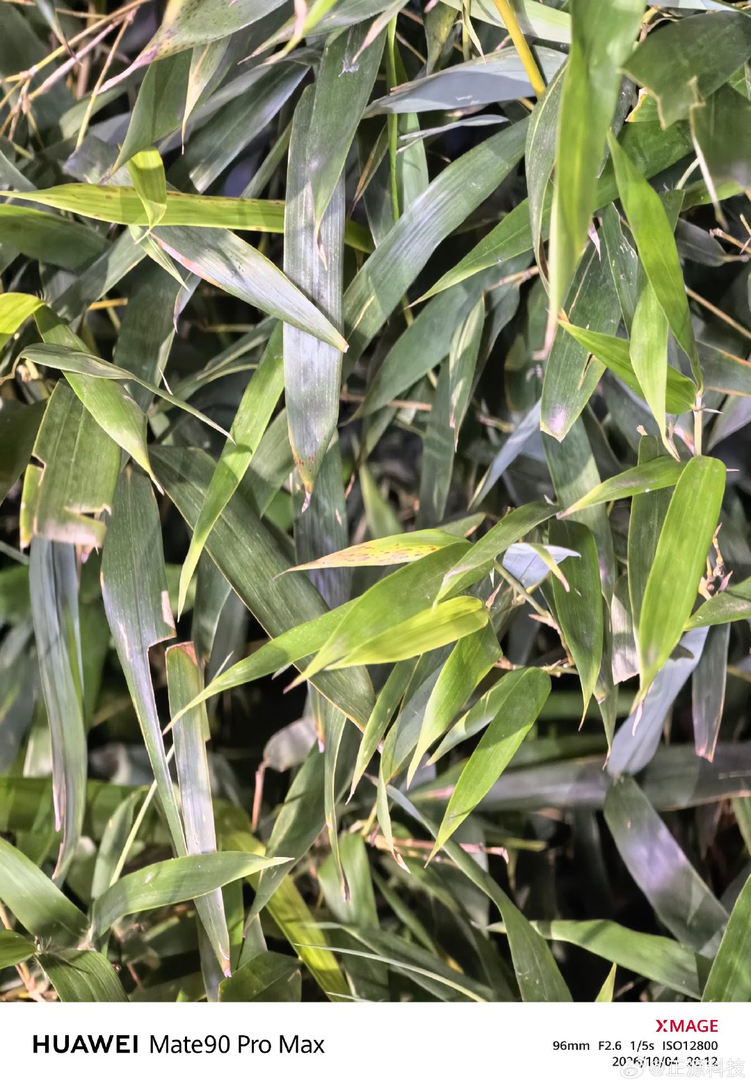 华为mate90ProMAX真到减配了，还减的那么严重，拍出来的照片，怎么看都没有Nova15ult
