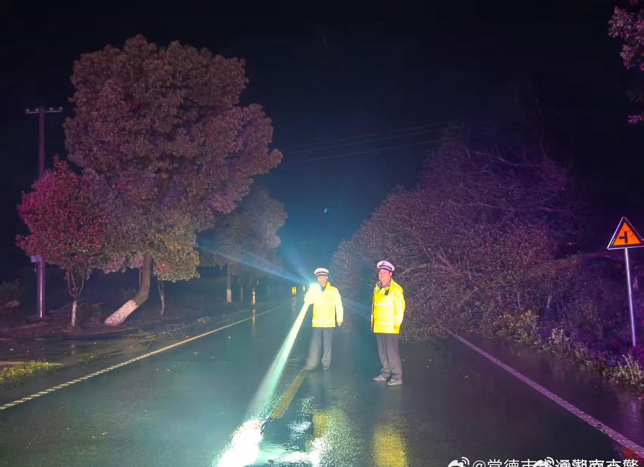 【大风刮倒树木挡路交警及时处置保畅通】交警正能量3月25日，常德津市交警大队