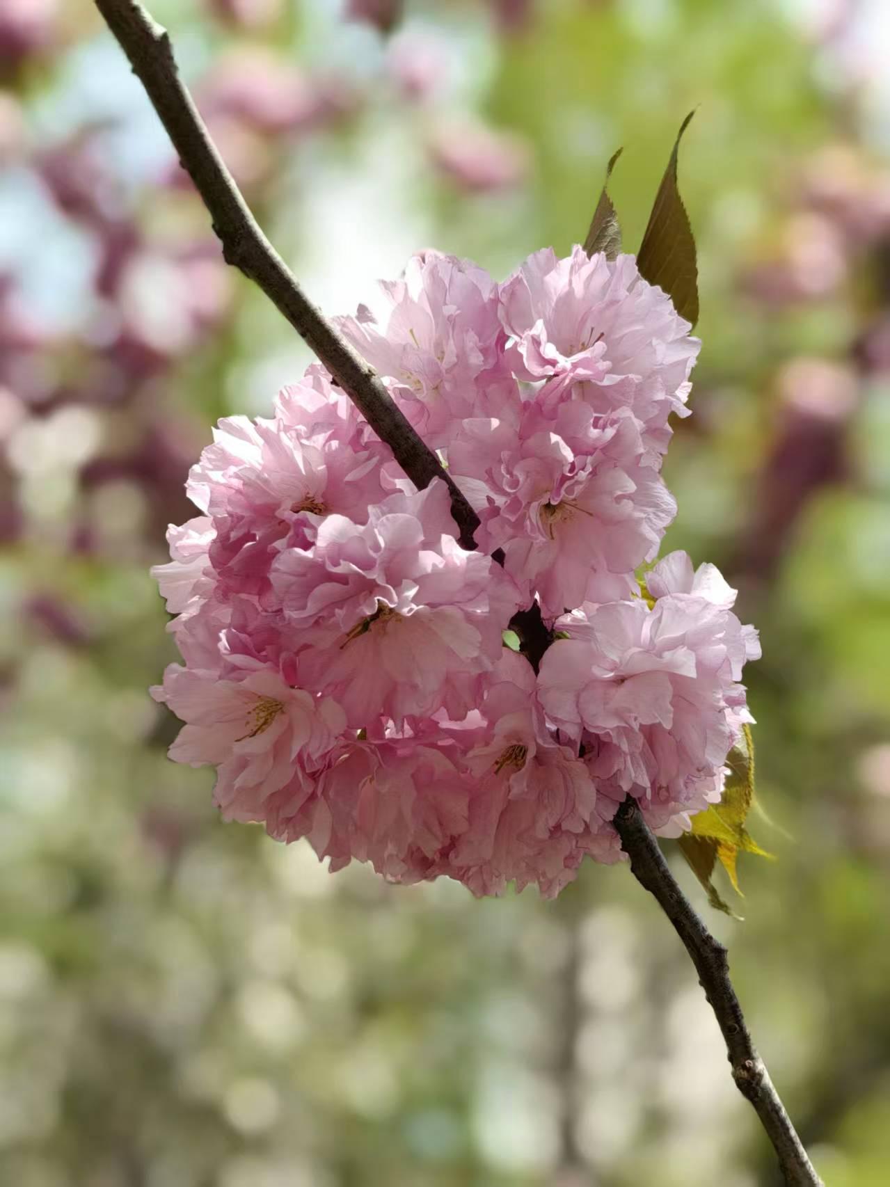 男人退休都这样么？老伴退休了，以前上班的时候经常和朋友出去玩。他不喜欢钓