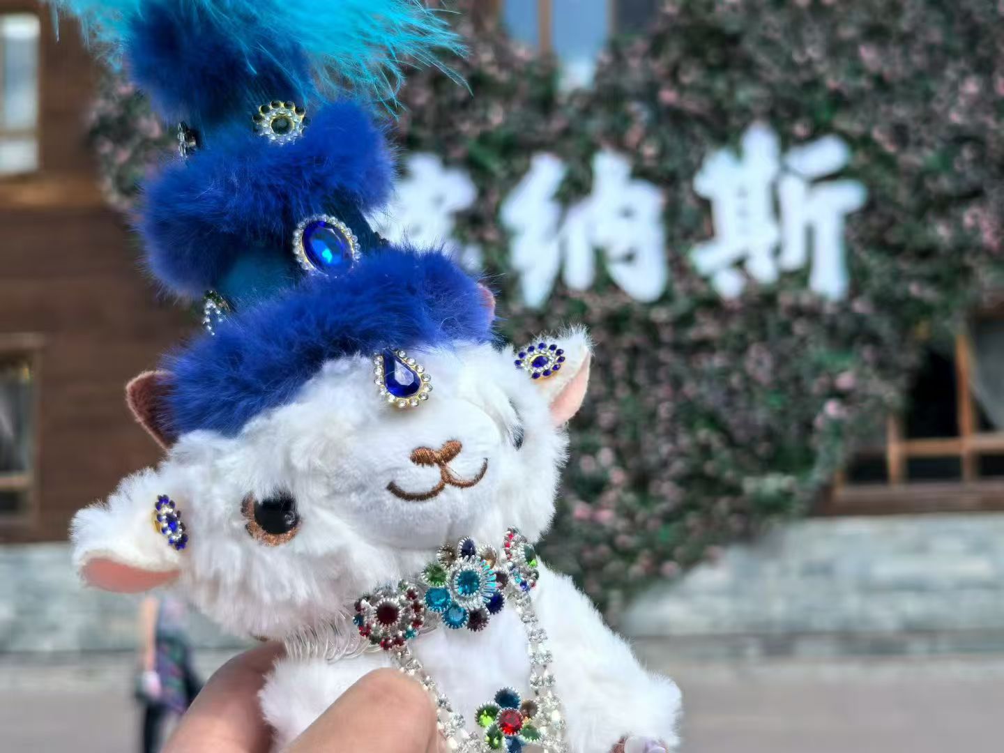 新疆旅游，喀纳斯｜北疆绿野仙境游玩攻略！