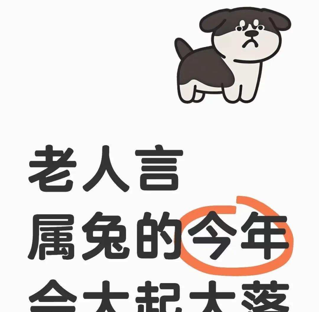 属兔的伙伴们注意看！2025年咱终于要转运啦！这一年挑战和机遇齐飞。工作上