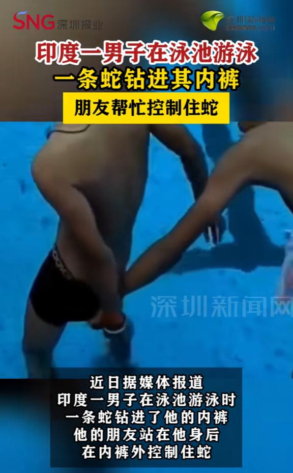 “头皮发麻！”6月28日报道，印度，一男子在泳池游泳，突然，他感觉下面有什么东西