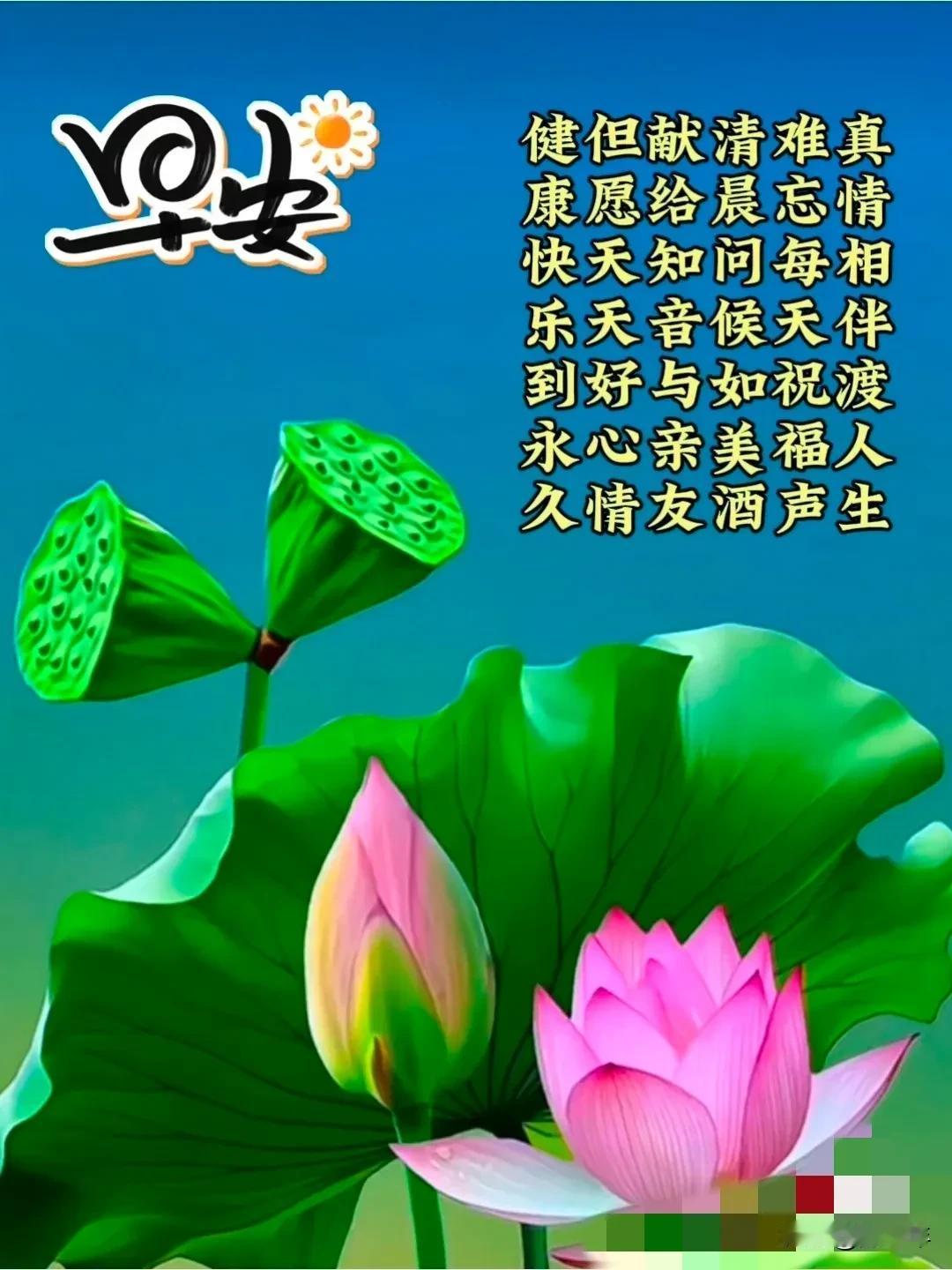 早安晨光映脸庞快乐相伴梦很香醒来喜鹊枝头唱开心快乐满心房[玫瑰][玫瑰