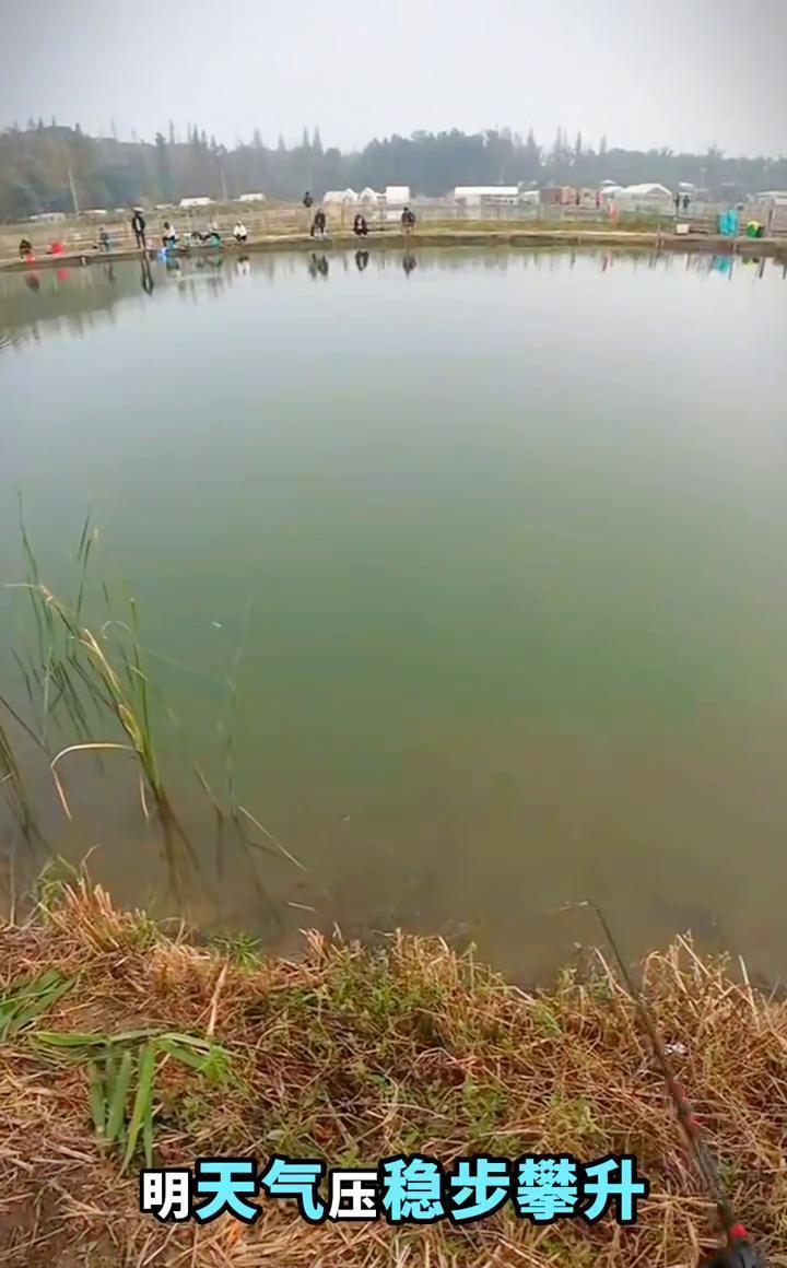 天冷了，鱼爱啃腥味饵，别老提竿，等它吞实了再收。水库大坝、水闸边别去，水利部明
