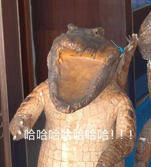 每天一条冷知识鳄鱼其实是个“话痨”，甚至还在蛋里时，小鳄鱼就会发出声音。这些叫