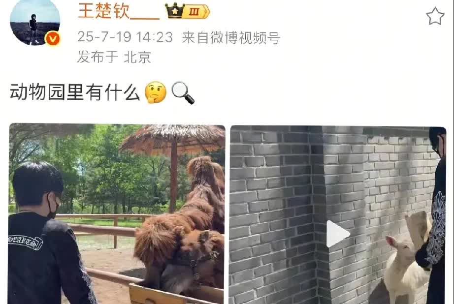 咱就是说动物园里有什么呢有人说对象，又说小太羊所以哥去了动物园