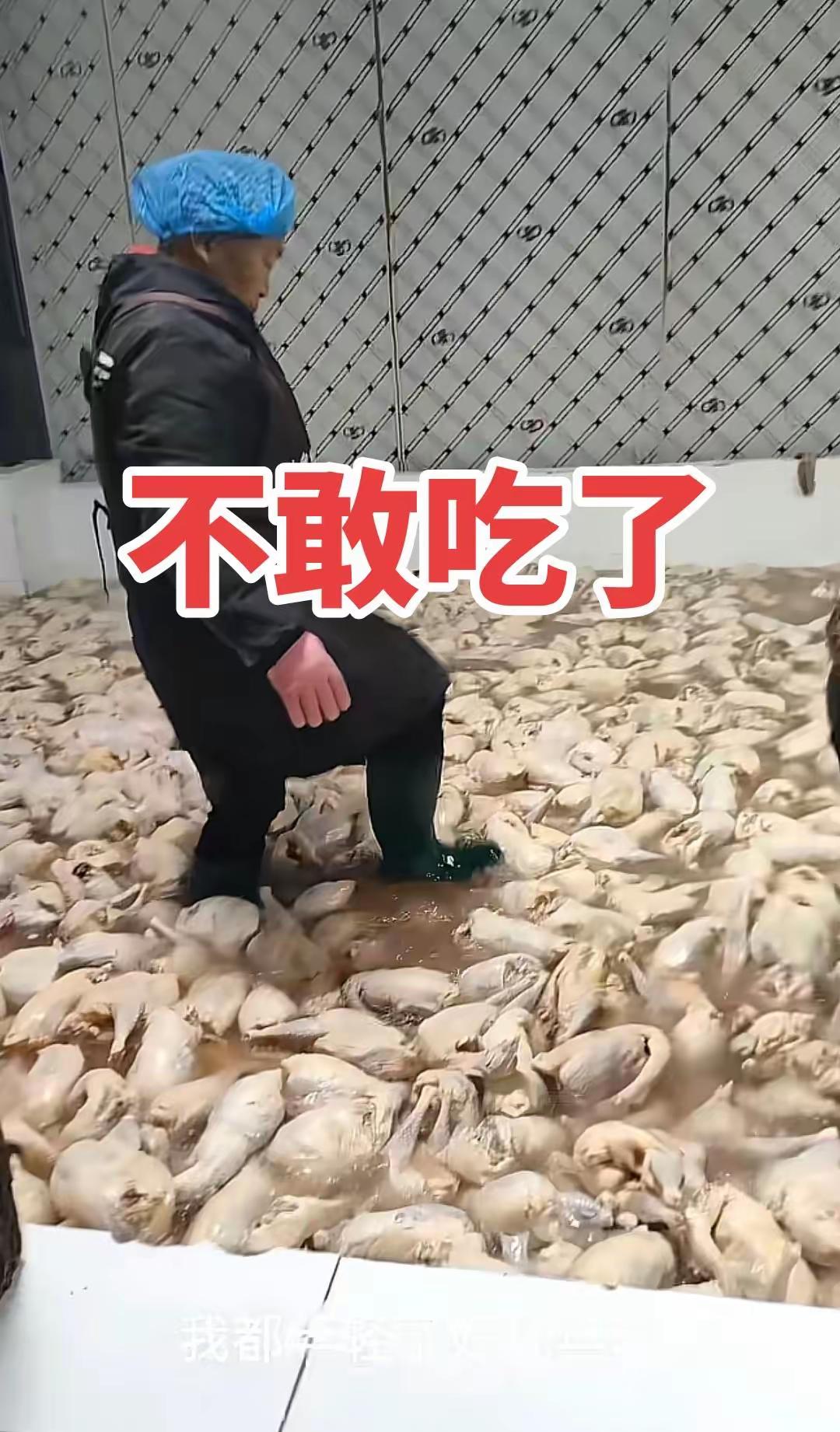 这些天杀的，吃啥才是安全的，谁能告诉我？