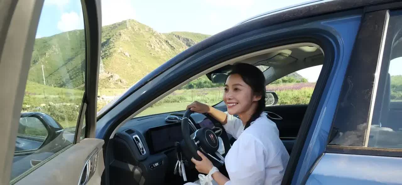 有专家预测，未来新能源车企只剩下5家1.比亚迪icon汽车，存活概率100％