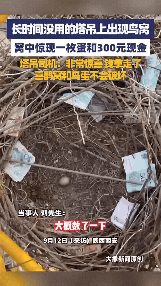 “解释不清了！”陕西西安，一塔吊司机发现自己长时间没用的塔吊上发现了一鸟窝，更神