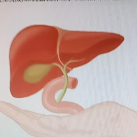 枸杞和它天生一对，肝火旺盛，每天坚持一杯，疏肝舒软，肝嗯，养出好肝