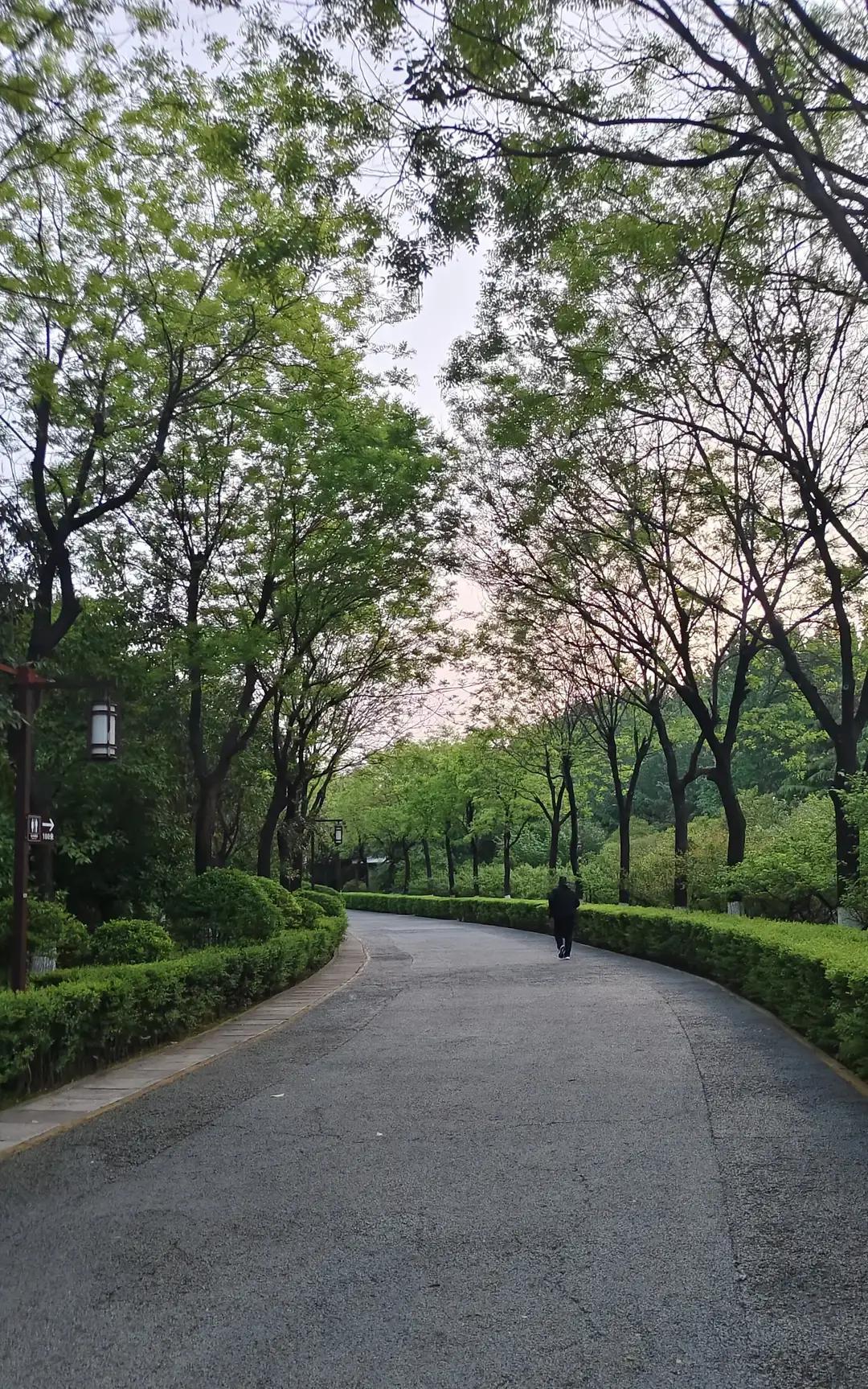 婆婆摔了腰，我直接把她接回家。端水喂饭擦身，夜里每两小时翻身。小姑子出差