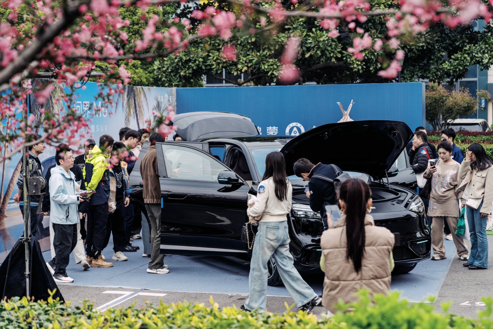 问界M6预售24小时订单6万太强了，问界M624小时订单6万，昨晚看了实车我就