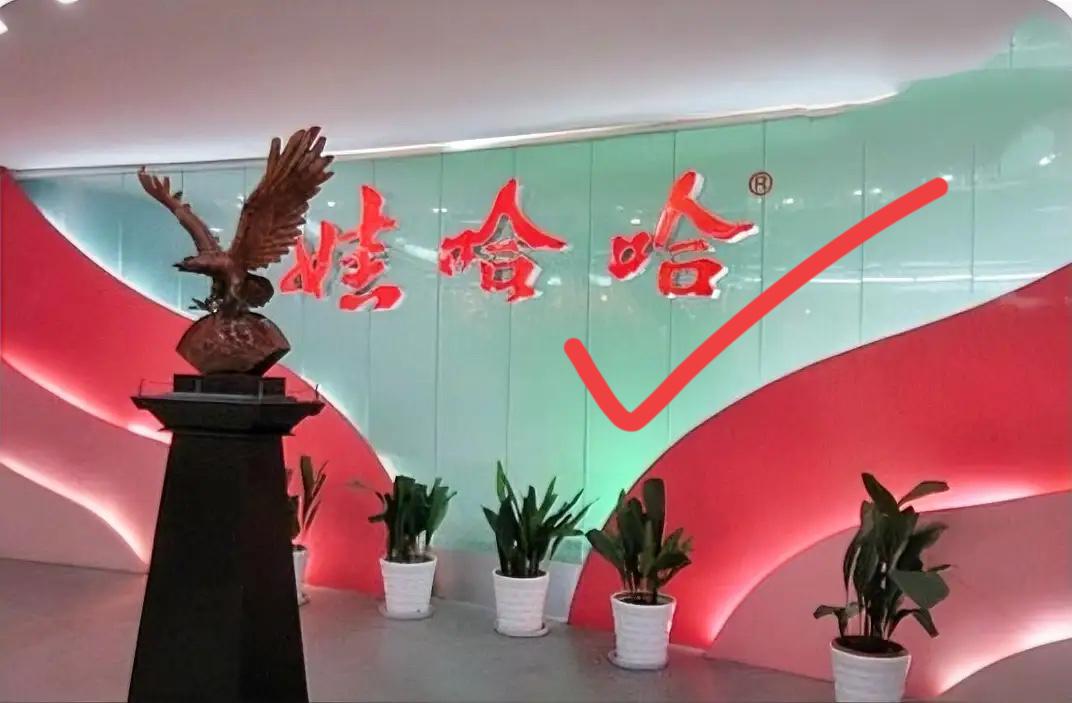 今天坐当经理的二叔的车，我好奇问他：“娃哈哈为啥让宗大小姐回去了啊？”我二叔