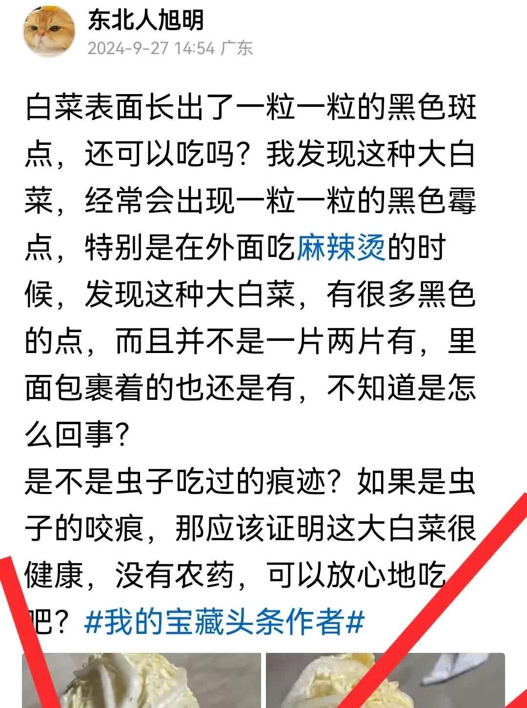 比素老三，苗京京更火的人出现了！两片白菜7165万展现量，一块猪脚100万展现量