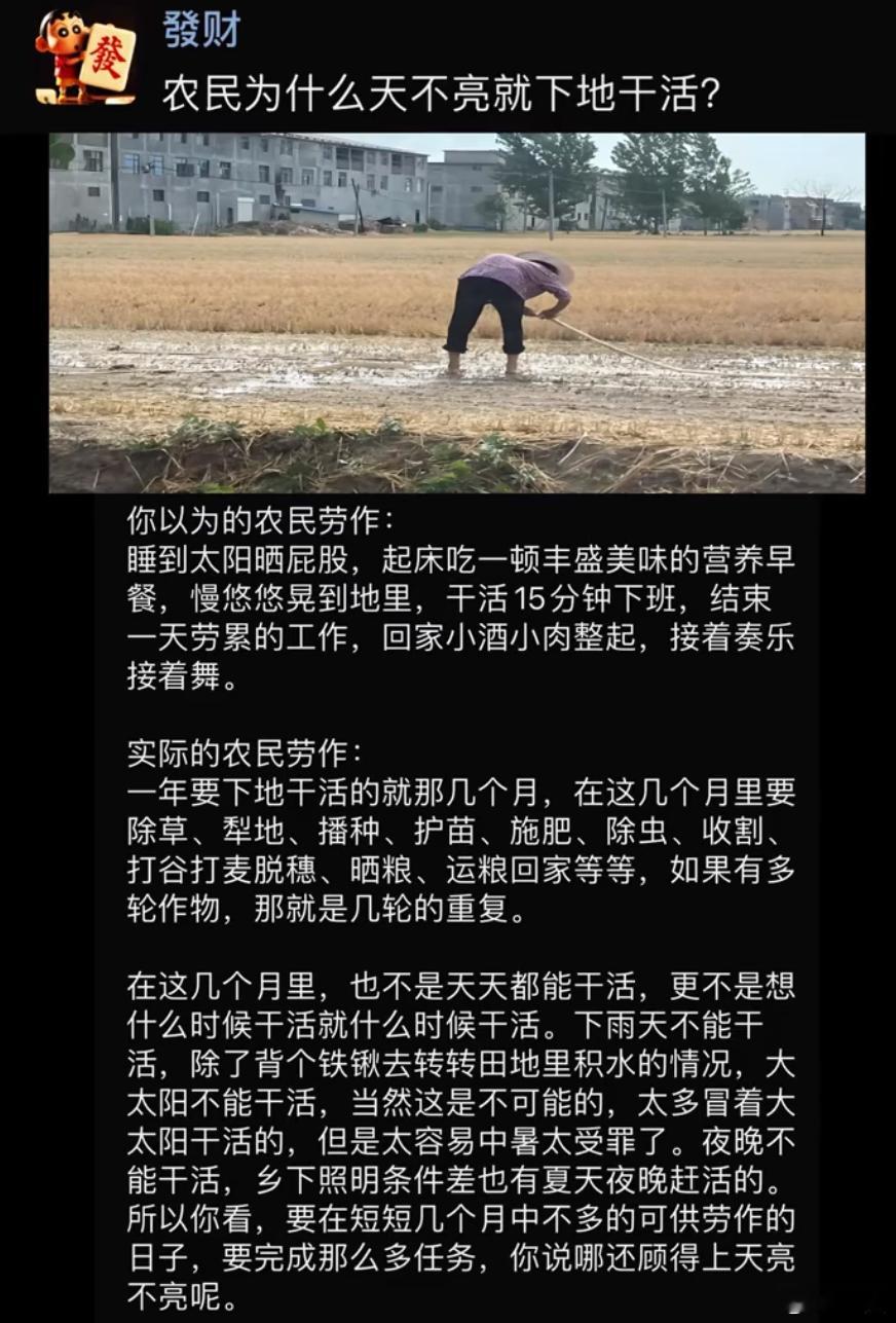 为什么农民天不亮就下地干活了？