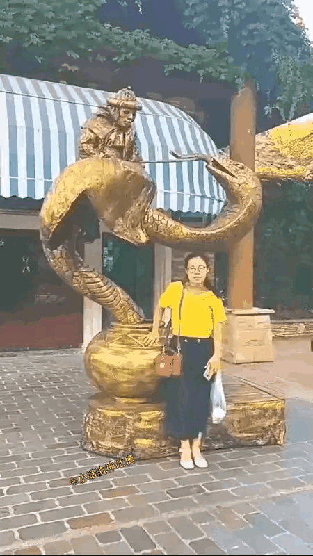 果然不是什么东西都能随便合影，小姐姐这下怕是后悔都来不及咯