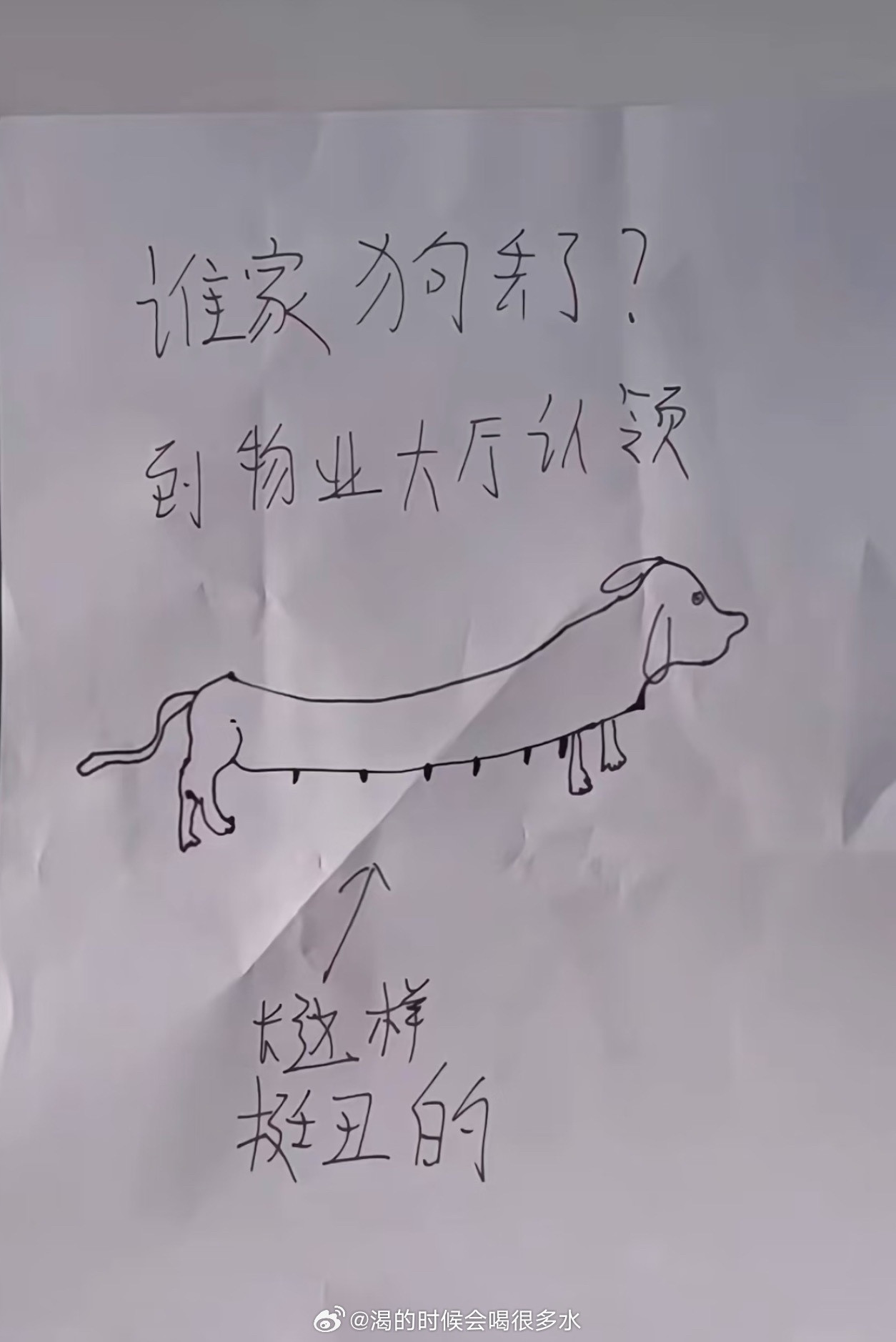 物业贴了一张寻狗启示，以为是抽象派，没想到是写实派