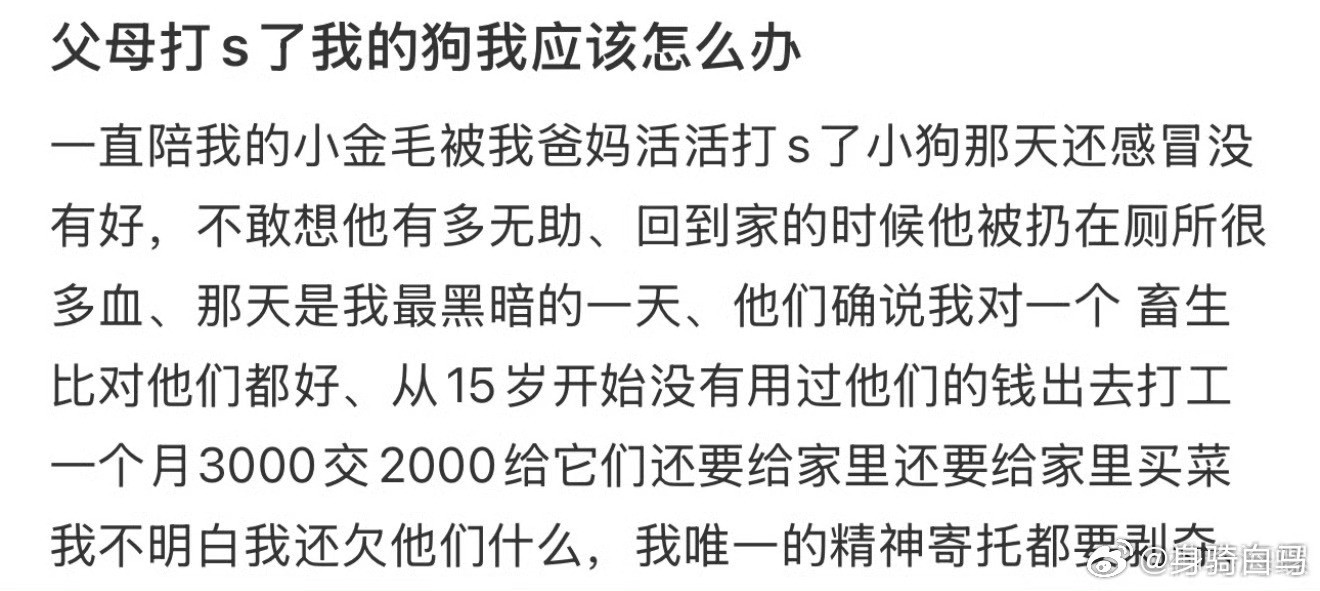 父母打死了我的狗该怎么办？狗咖派了一只小狗员工来迎接我