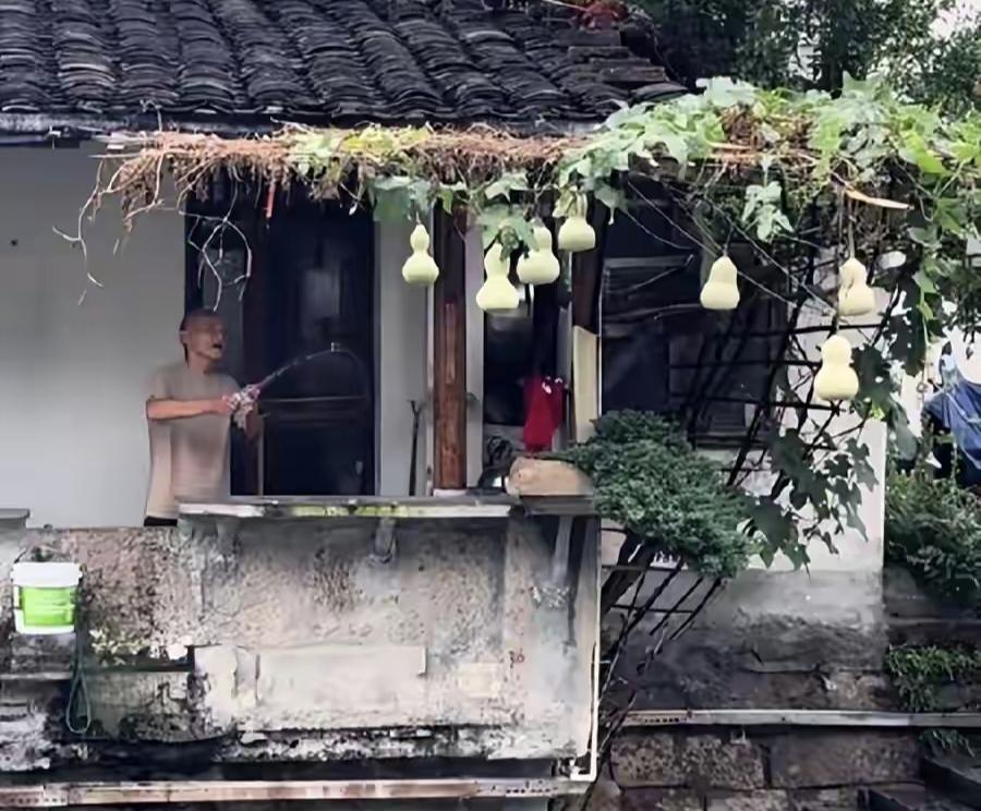 人民日报锐评“葫芦娃爷爷”，拨开流量乱象，为浮躁时代敲响警钟人民日报锐评“葫芦