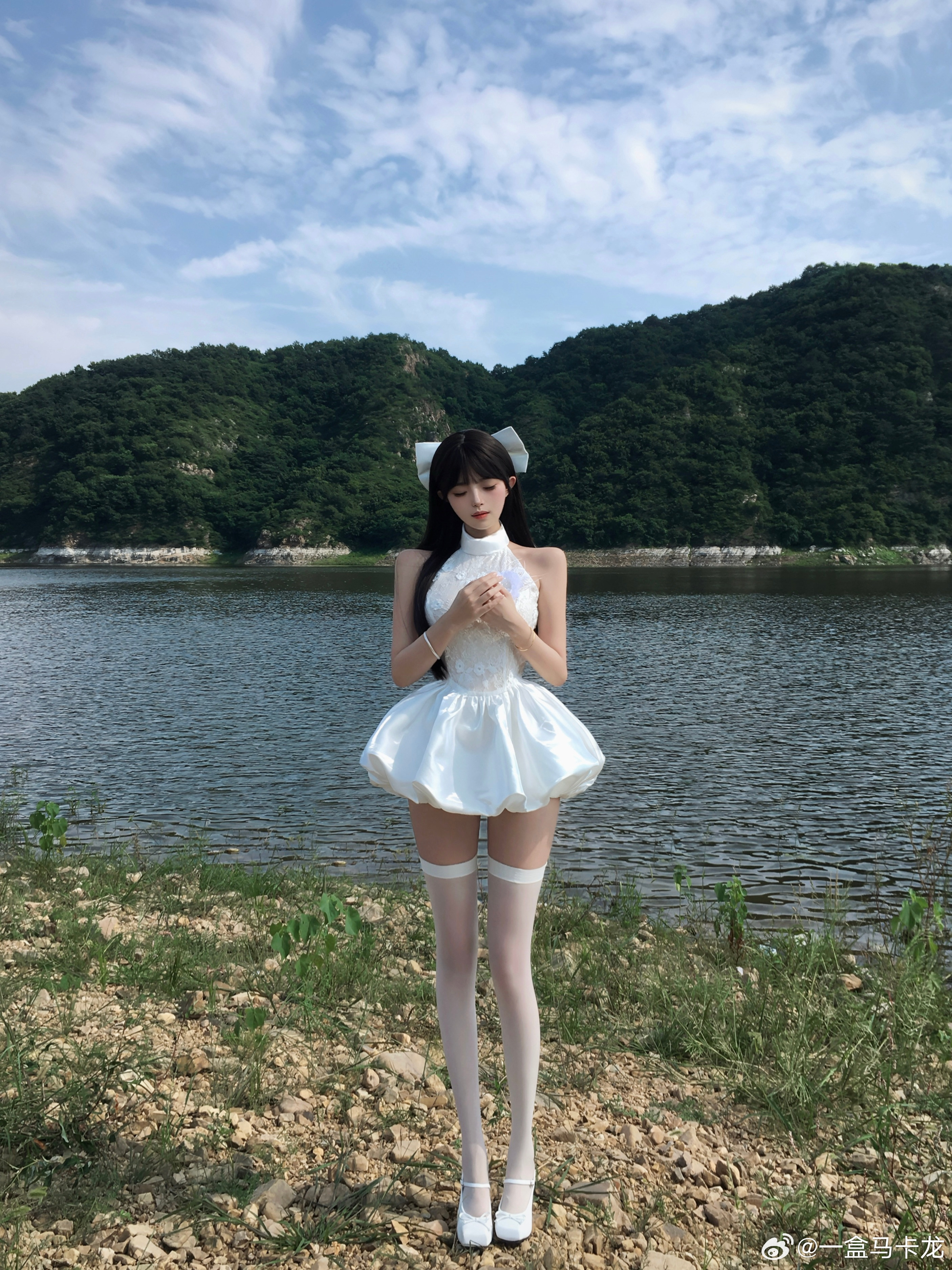 夏日来信🕊️