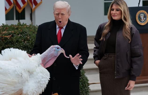 幽默感拉满！特朗普赦免火鸡，趁“鸡”嘲讽拜登和佩洛西！ 还以为是感恩节的