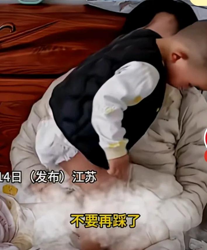 女子怀二胎时说生个妹妹出来，哥哥，分一半玩具跟零食给妹妹，结果前一秒还亲亲妈妈