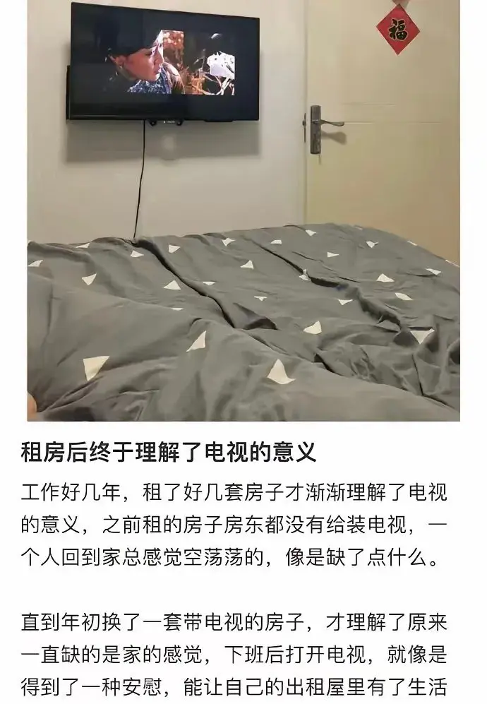 租房后终于理解了电视的意义