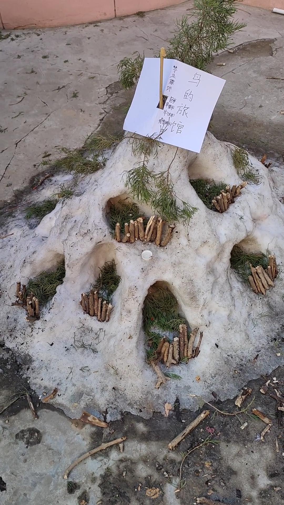 分享一张雪景图用雪堆出的“鸟的旅馆”，凹洞里藏着小树枝搭的巢，还别出心裁插了松枝