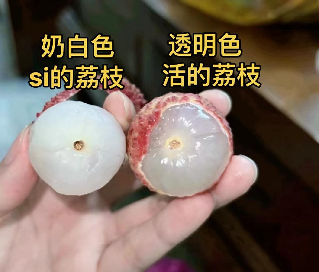 终于弄明白了“活荔枝”和“死荔枝”的区别是什么了不是品种不一样，也不是价格差