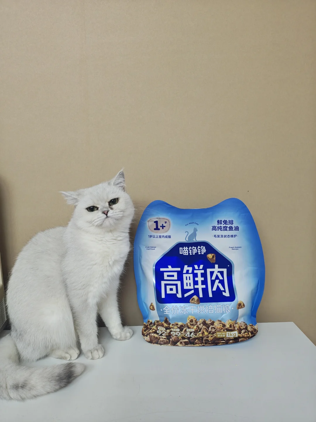 a  mu  吃的好香呀~ - 果然猫猫养的好都是猫粮选的好 自从换个...