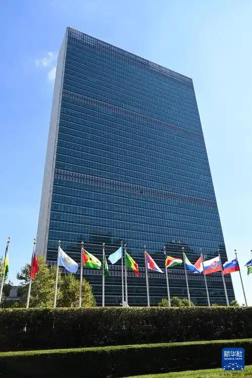 联合国也不是要饭的，这话放在当下真是一点不假。美国正式退出世卫组织那事儿，联合国