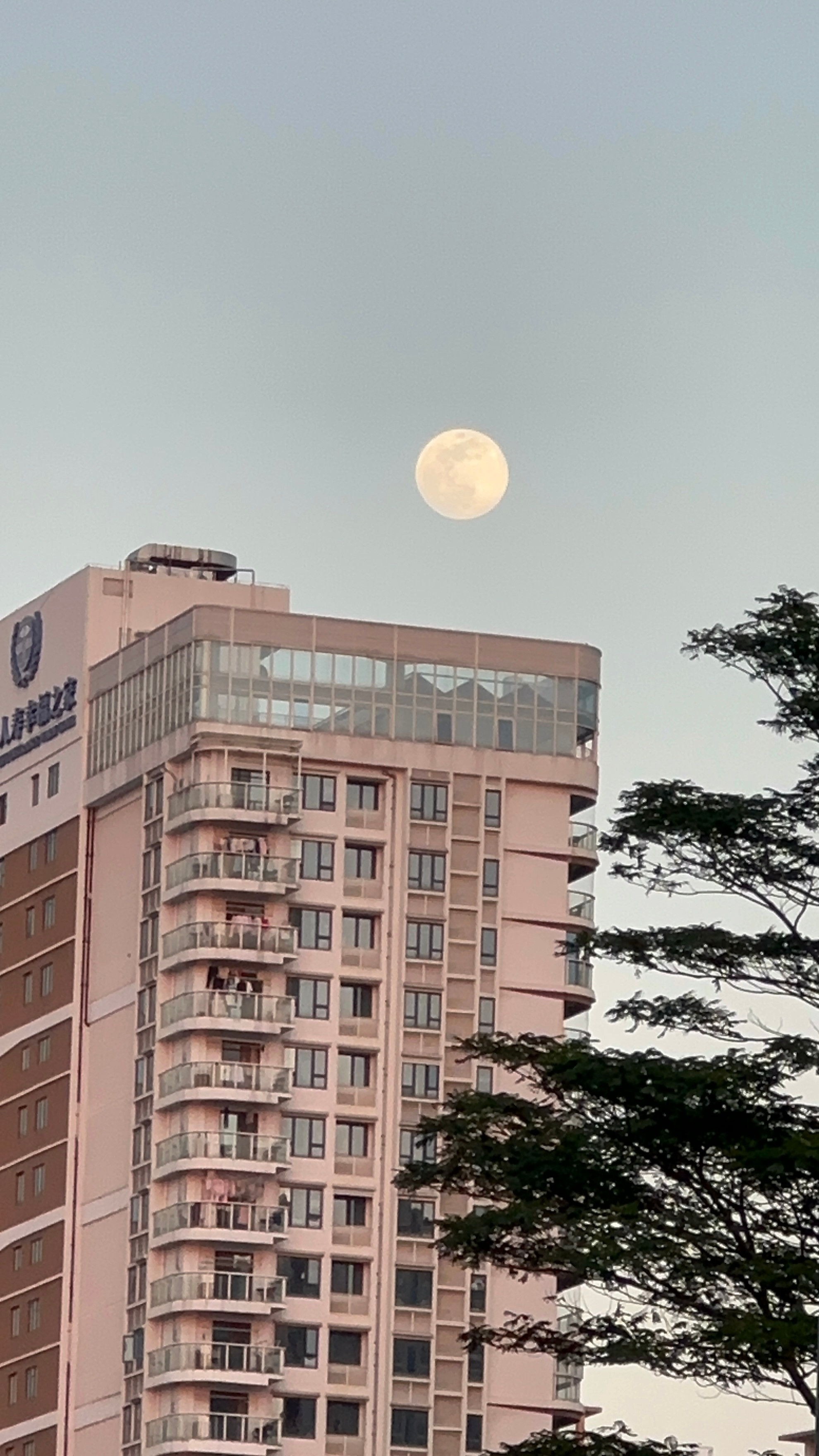 确实真大，刚刚拍的。