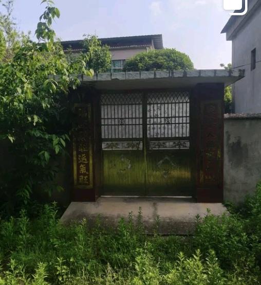 听说隔壁女人的老公回来了，在外面漂泊了几十年，在外面私生子女都有好几个，如今快七
