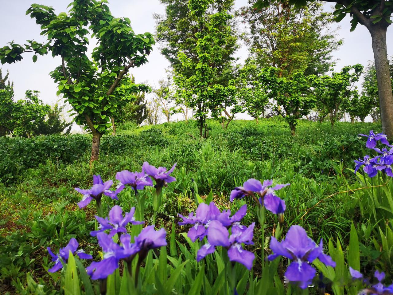 人这一生，即便凡事由命定，也离不开自己肯下的一份功夫。天不会掉大饼。