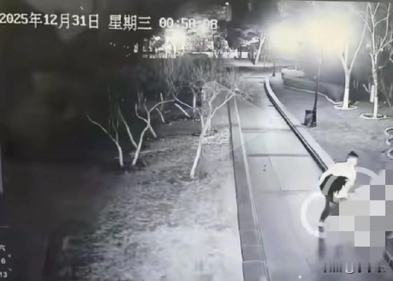 近日，大连儿童公园的人工湖原本栖息着2只黑天鹅，元旦前夜有一只竟被人偷走，监控视