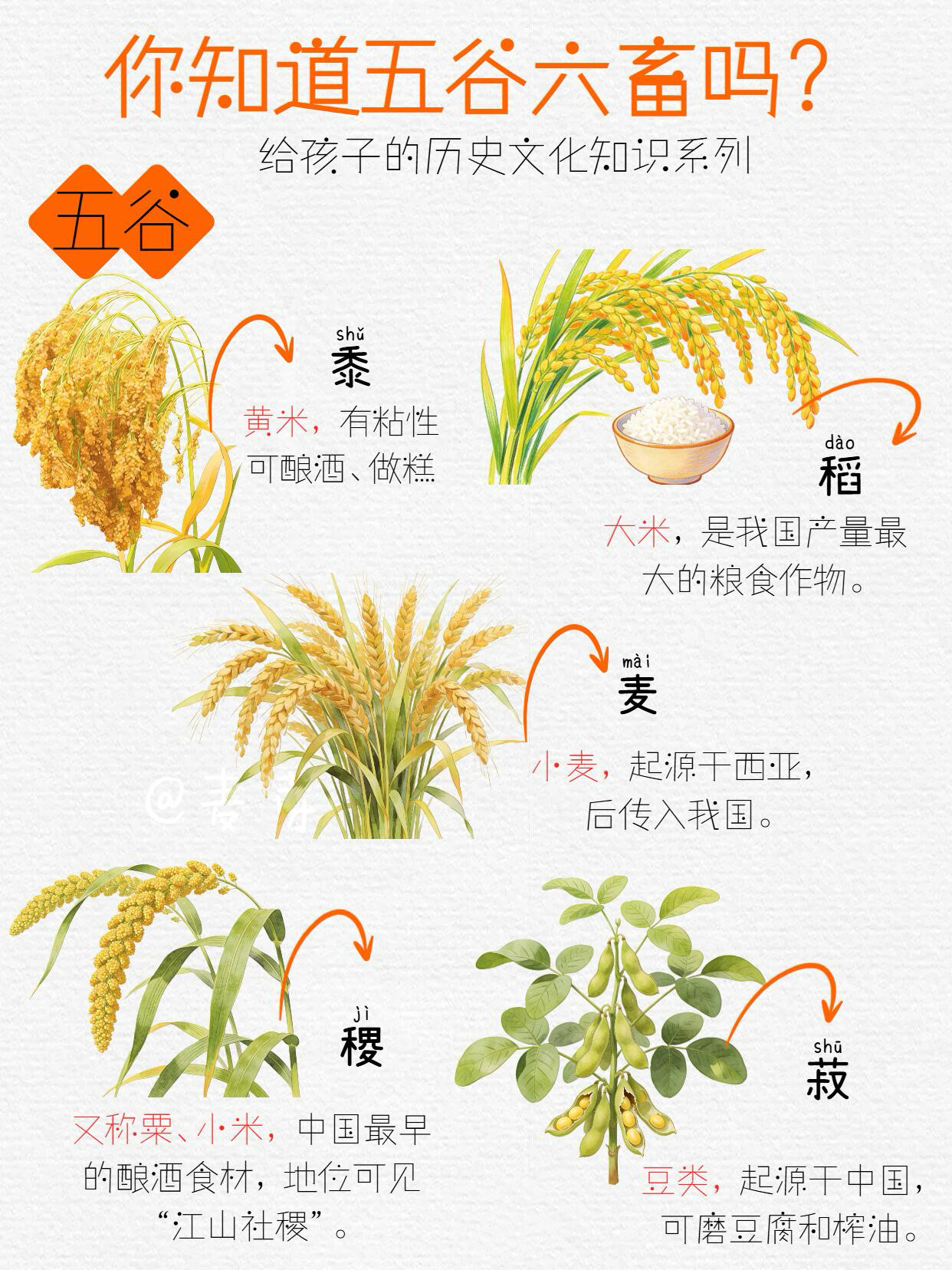 你知道五谷六畜吗？