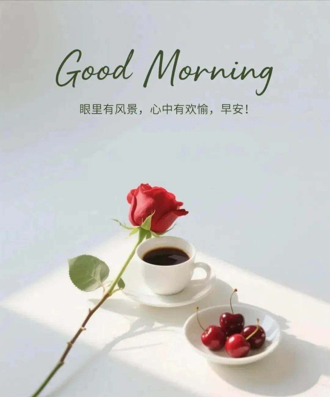 入伏了，成都也由此进入到一年最热的阶段。后面会有多热，不太清楚，但整个伏中的日子